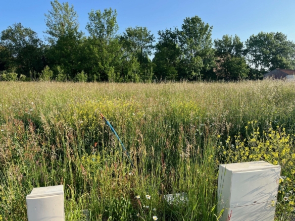 Terrain de 564m² à vendre à Cognac (16)