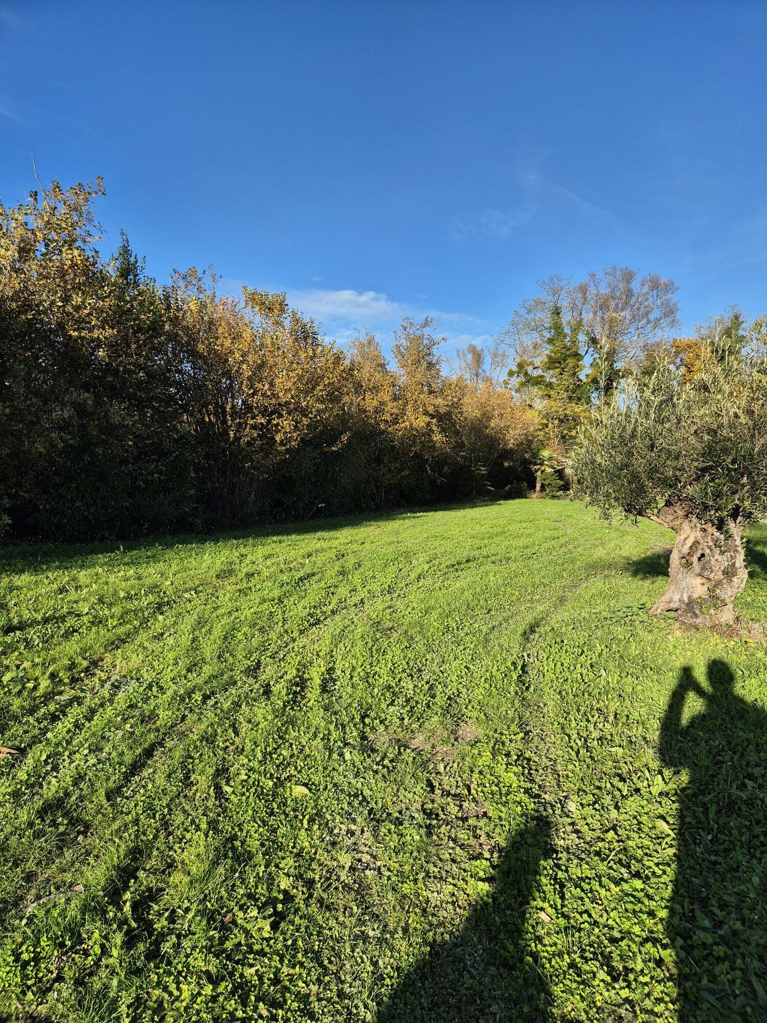 Terrain de 813m² à vendre à Saint-Yrieix-sur-Charente (16)