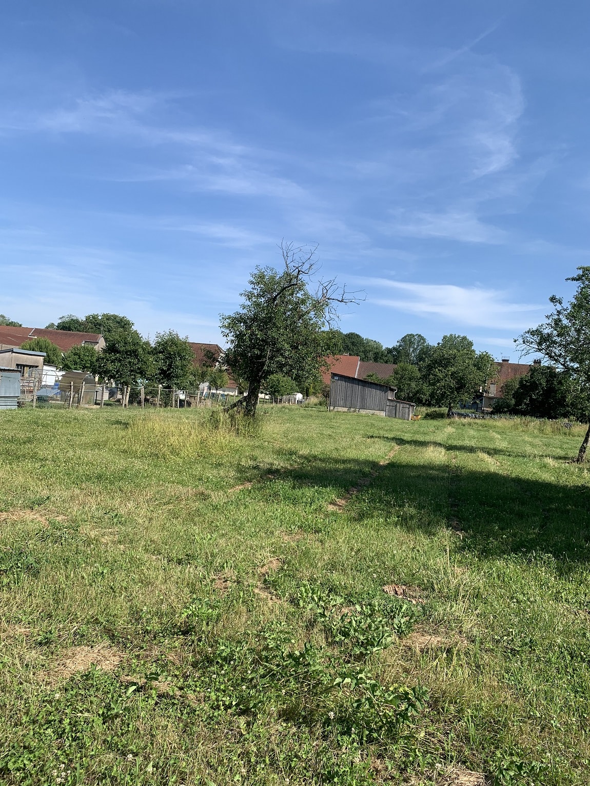 Terrain de 1 200m² à vendre à Lavoncourt (70)