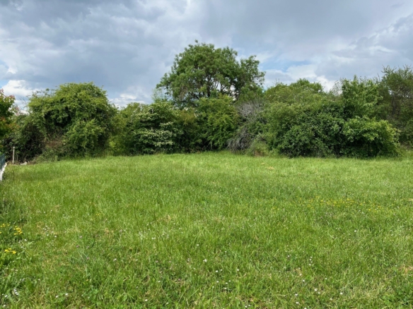 Terrain de 843m² à vendre à Jarnac (16)