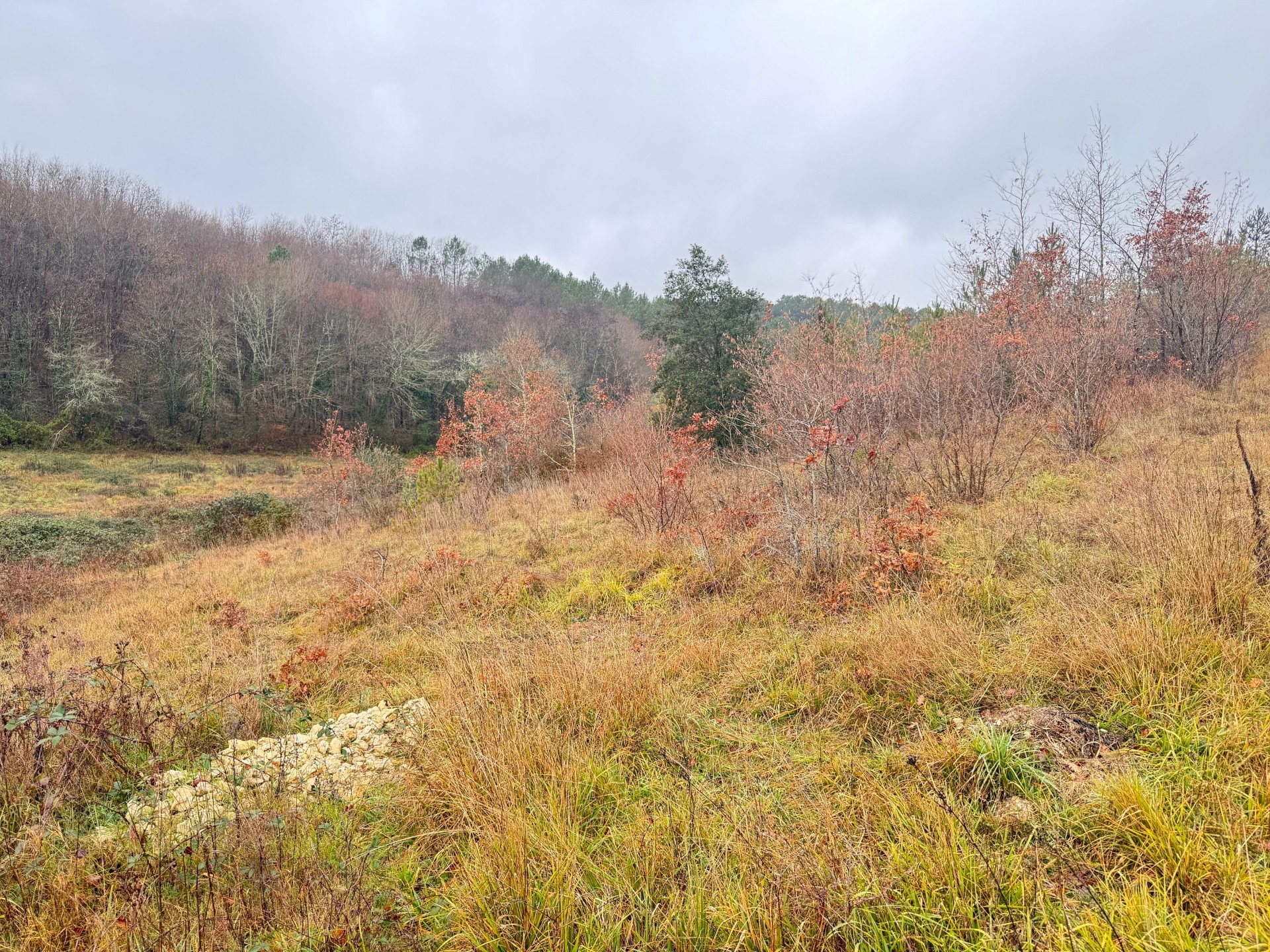 Terrain de 1 600m² à vendre à Trélissac (24)