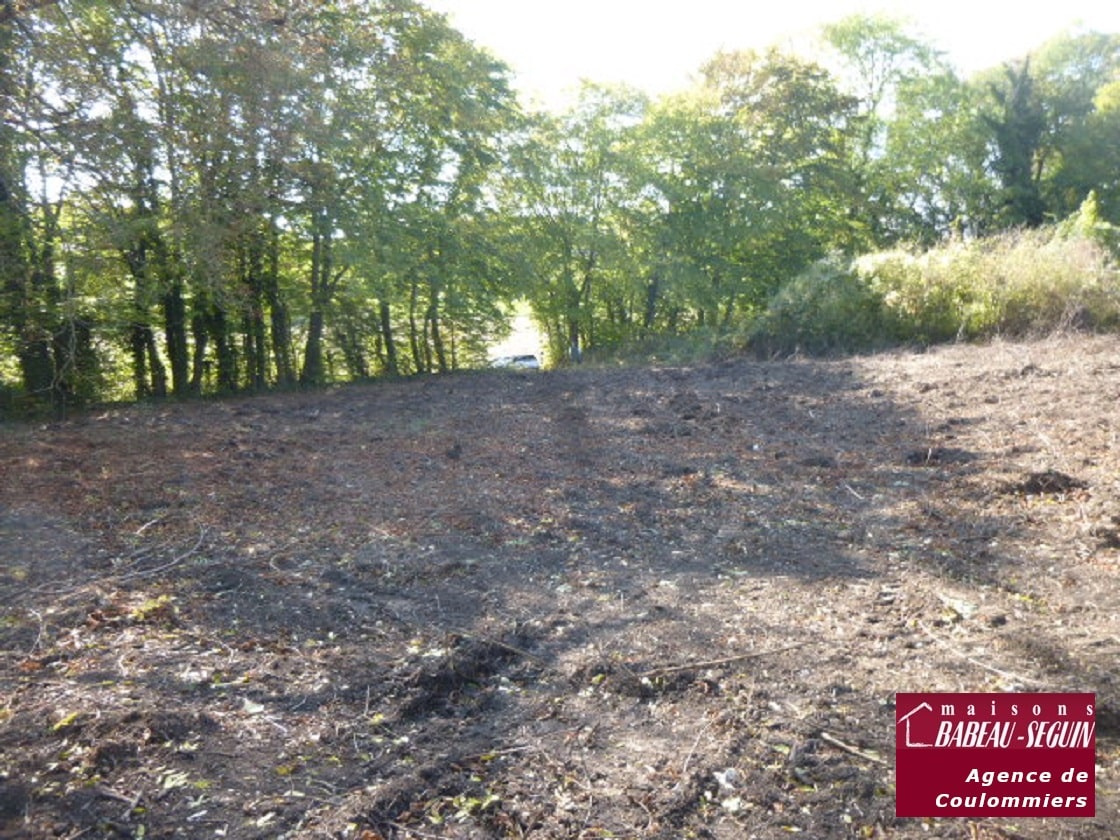 Terrain de 1 909m² à vendre à Amillis (77)
