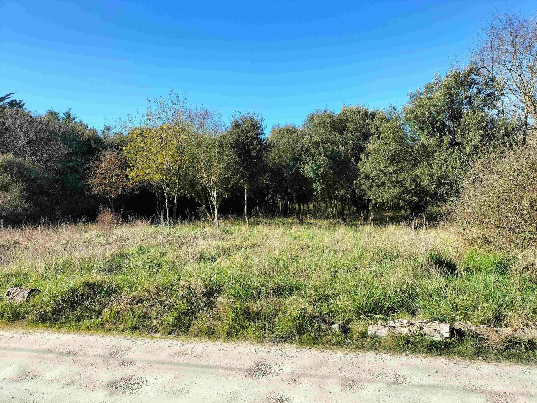 Maison + Terrain de 197 m2  à Dolus-d’Oléron