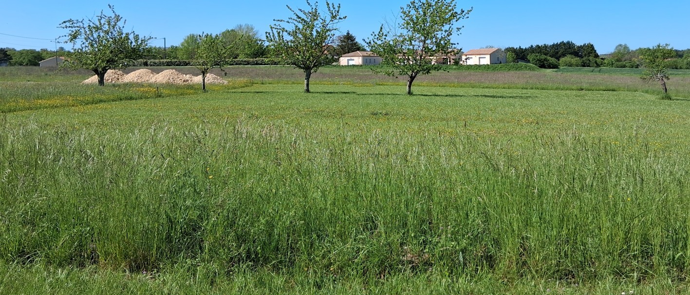 Maison + Terrain de 2 385 m2  à Ribagnac