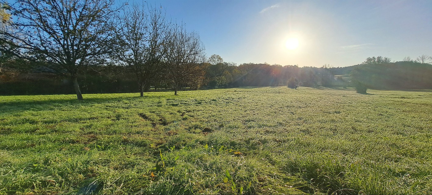 Maison + Terrain de 4 649 m2  à Maurens