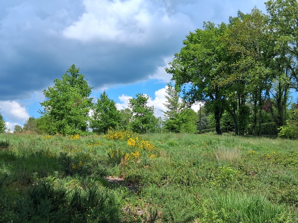 Maison + Terrain de 1 545 m2  à Maurens