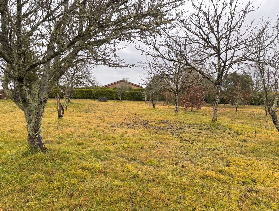 Maison + Terrain de 1 250 m2  à Mensignac