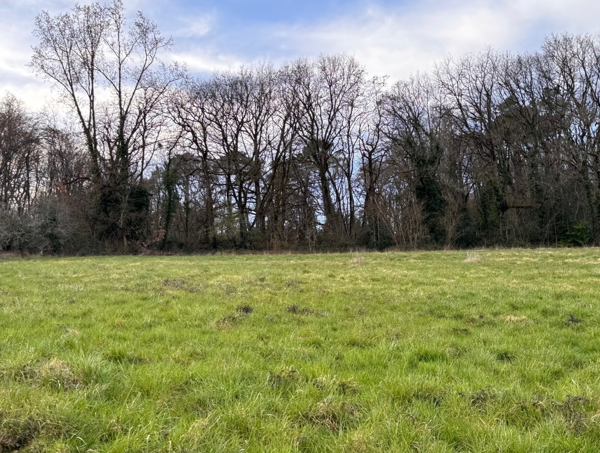 Maison + Terrain de 1 000 m2  à Trélissac