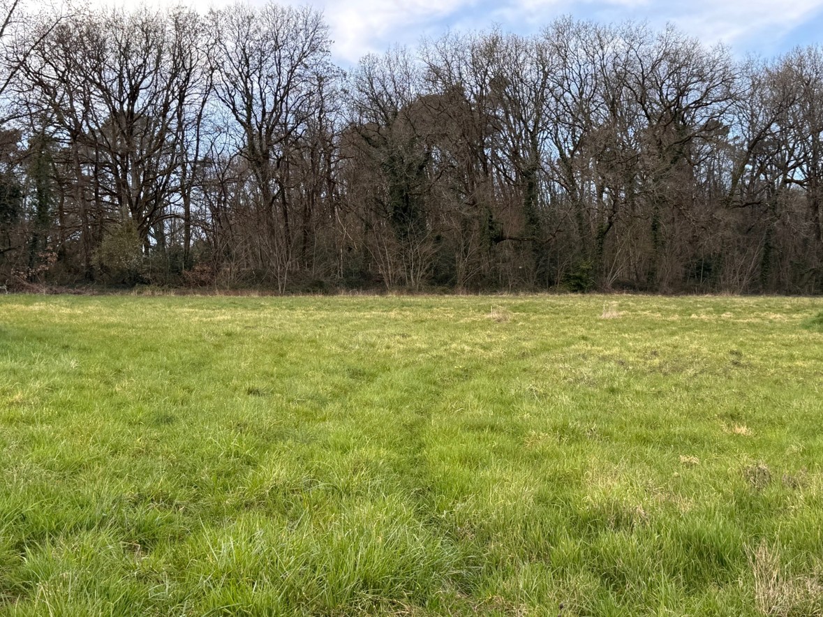 Maison + Terrain de 1 352 m2  à Proissans