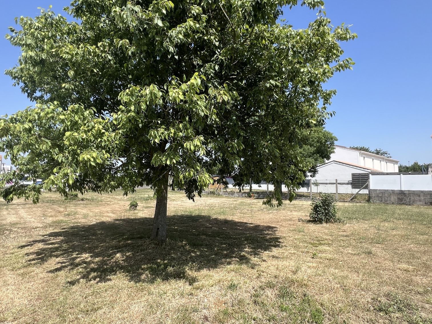 Maison + Terrain de 300 m2  à Fouras
