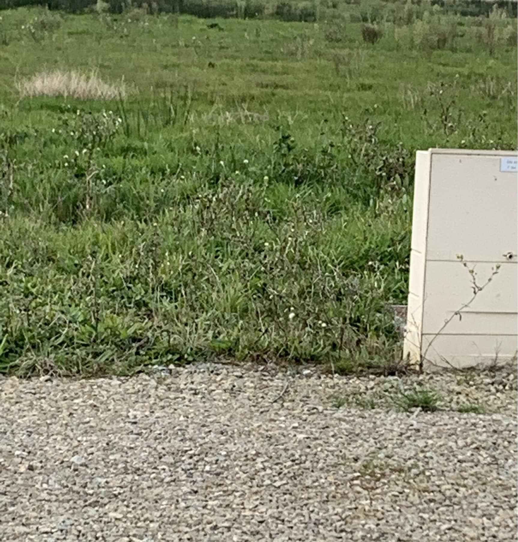 Terrain de 452m² à vendre à Pornic (44)