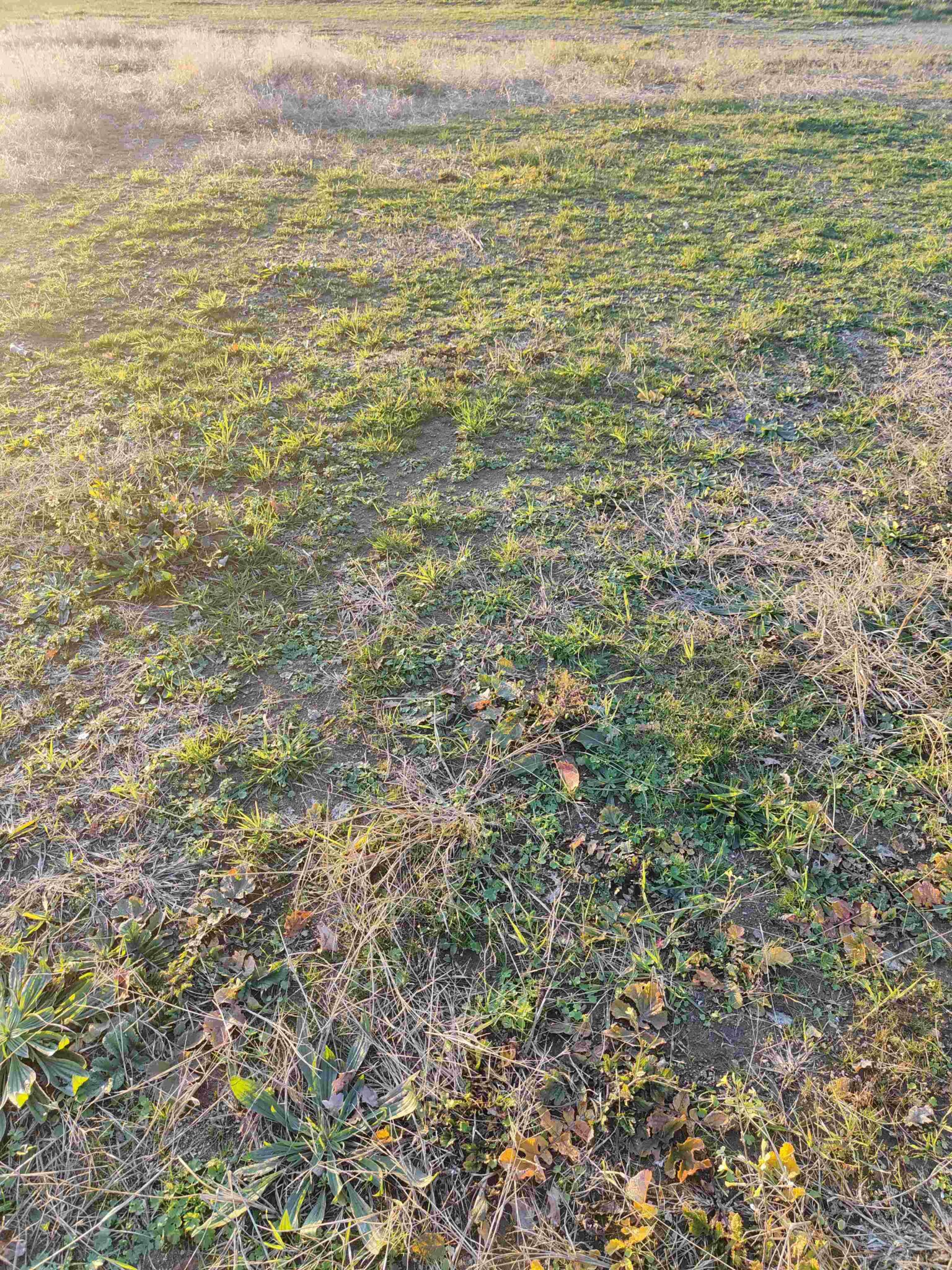 Maison + Terrain de 628 m2  à Saint-Michel-Chef-Chef