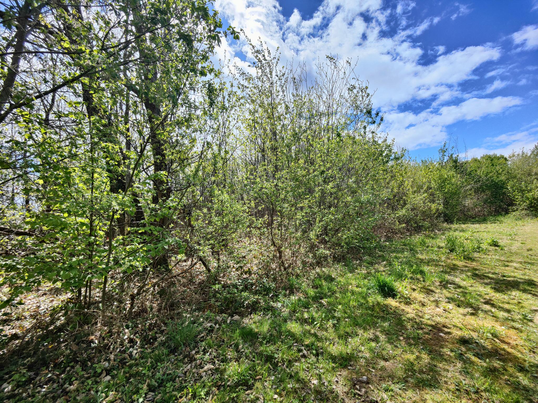 Maison + Terrain de 1 100 m2  à Marsac-sur-l’Isle
