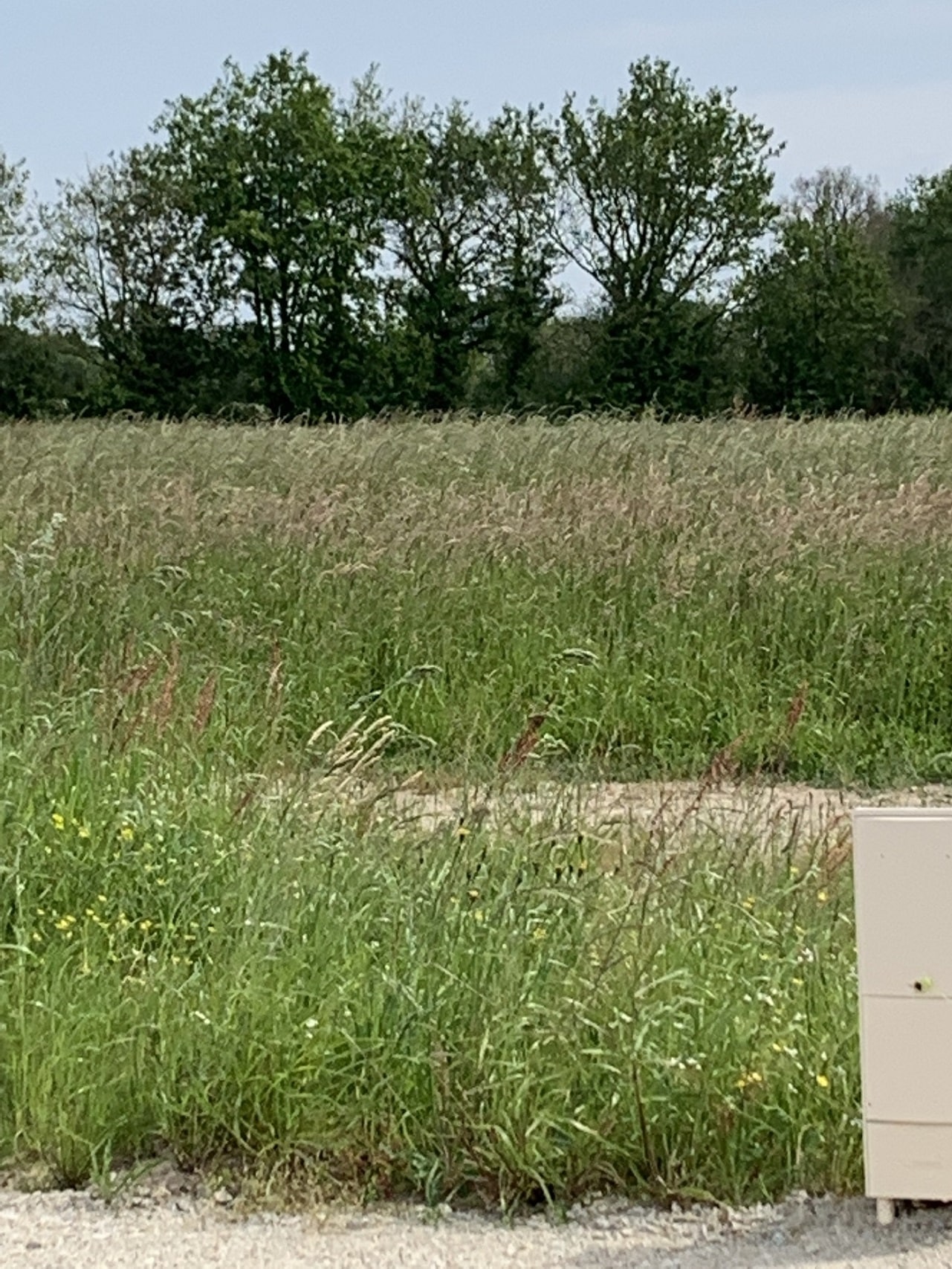 Maison + Terrain de 359 m2  à Chauvé