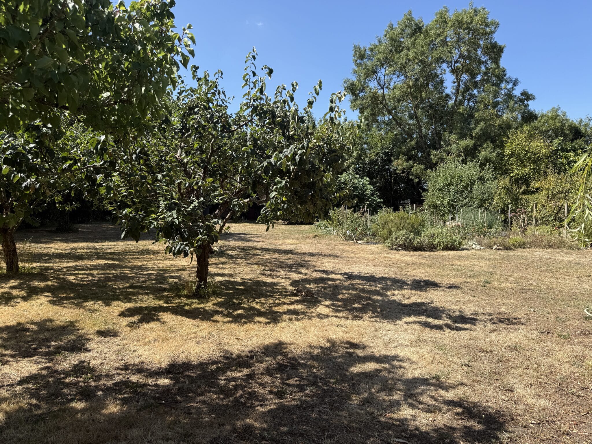 Maison + Terrain de 450 m2  à Étaules