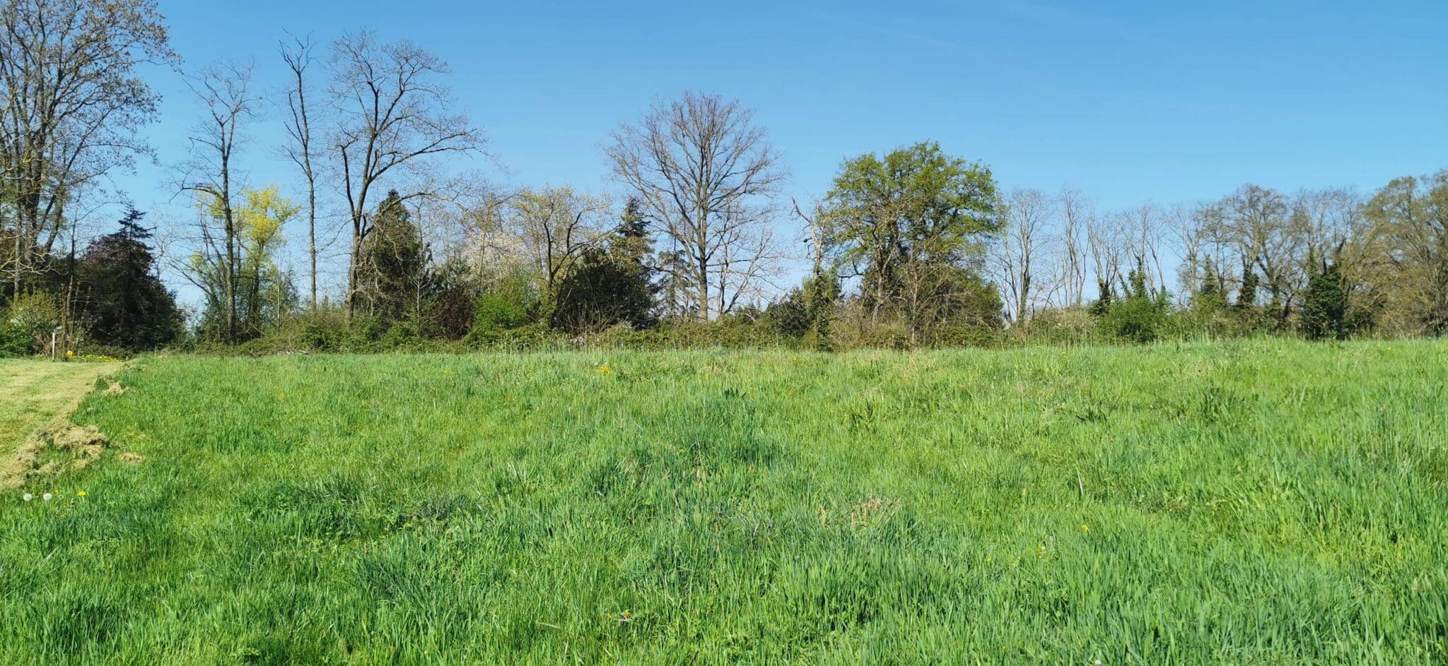 Maison + Terrain de 1 992 m2  à Varennes-sur-Allier