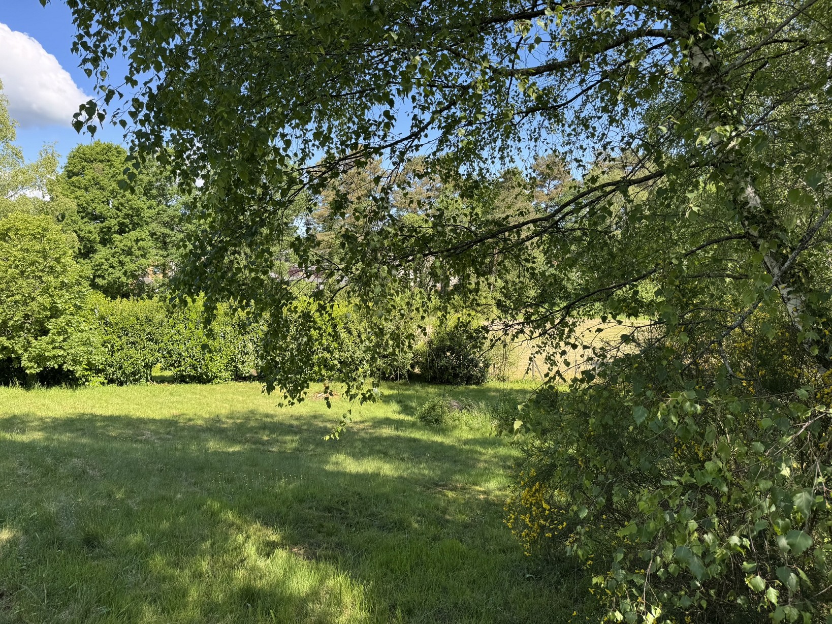 Terrain de 900m² à vendre à Saint-Priest-de-Gimel (19)