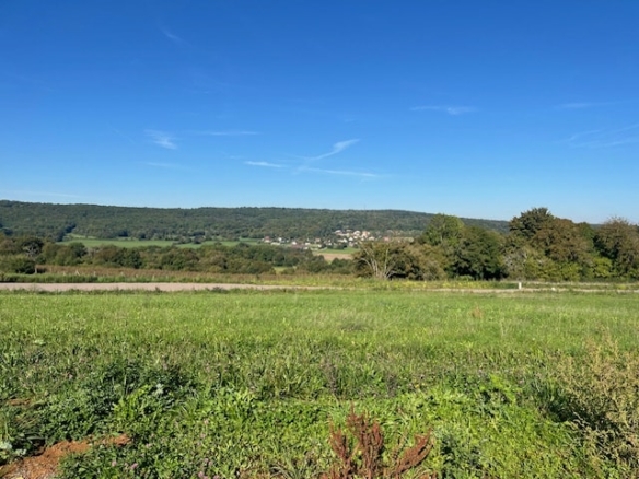 Terrain de 616m² à vendre à La Demie (70)