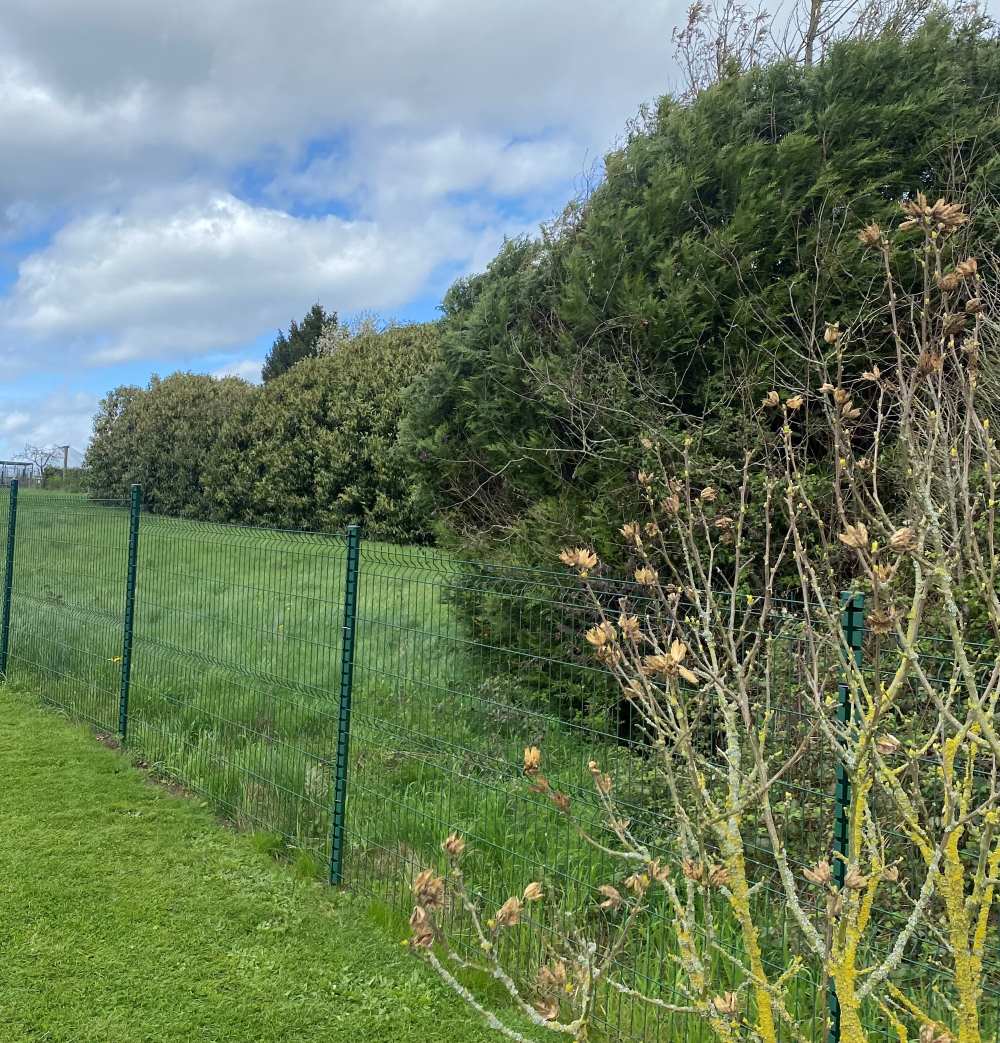Terrain de 1 840m² à vendre à Planrupt (52)