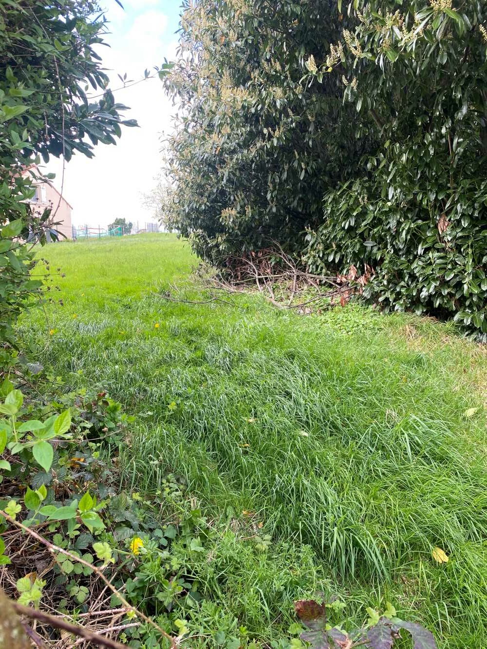 Terrain de 1 840m² à vendre à Planrupt (52)