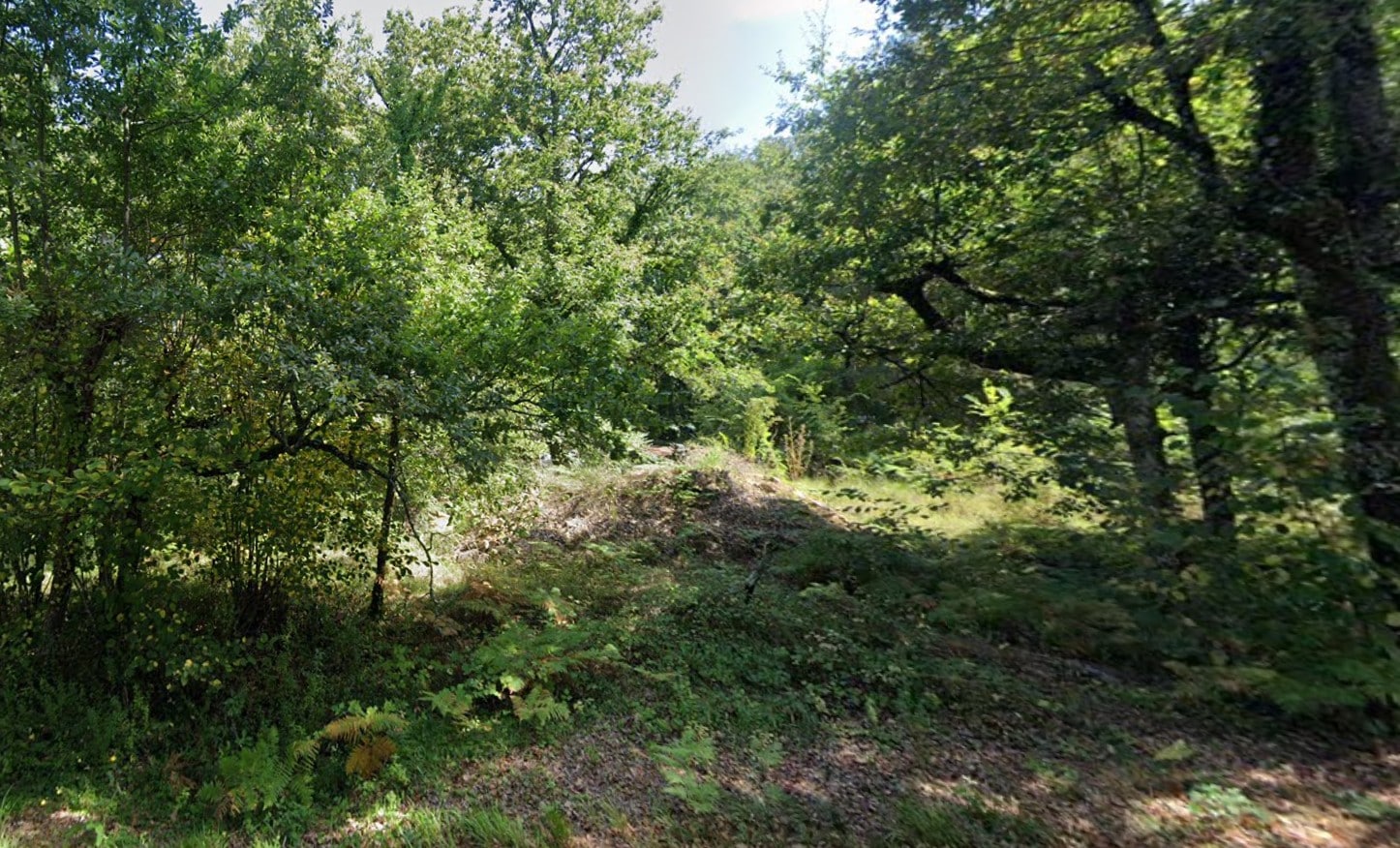 Maison + Terrain de 5 742 m2  à Campagne