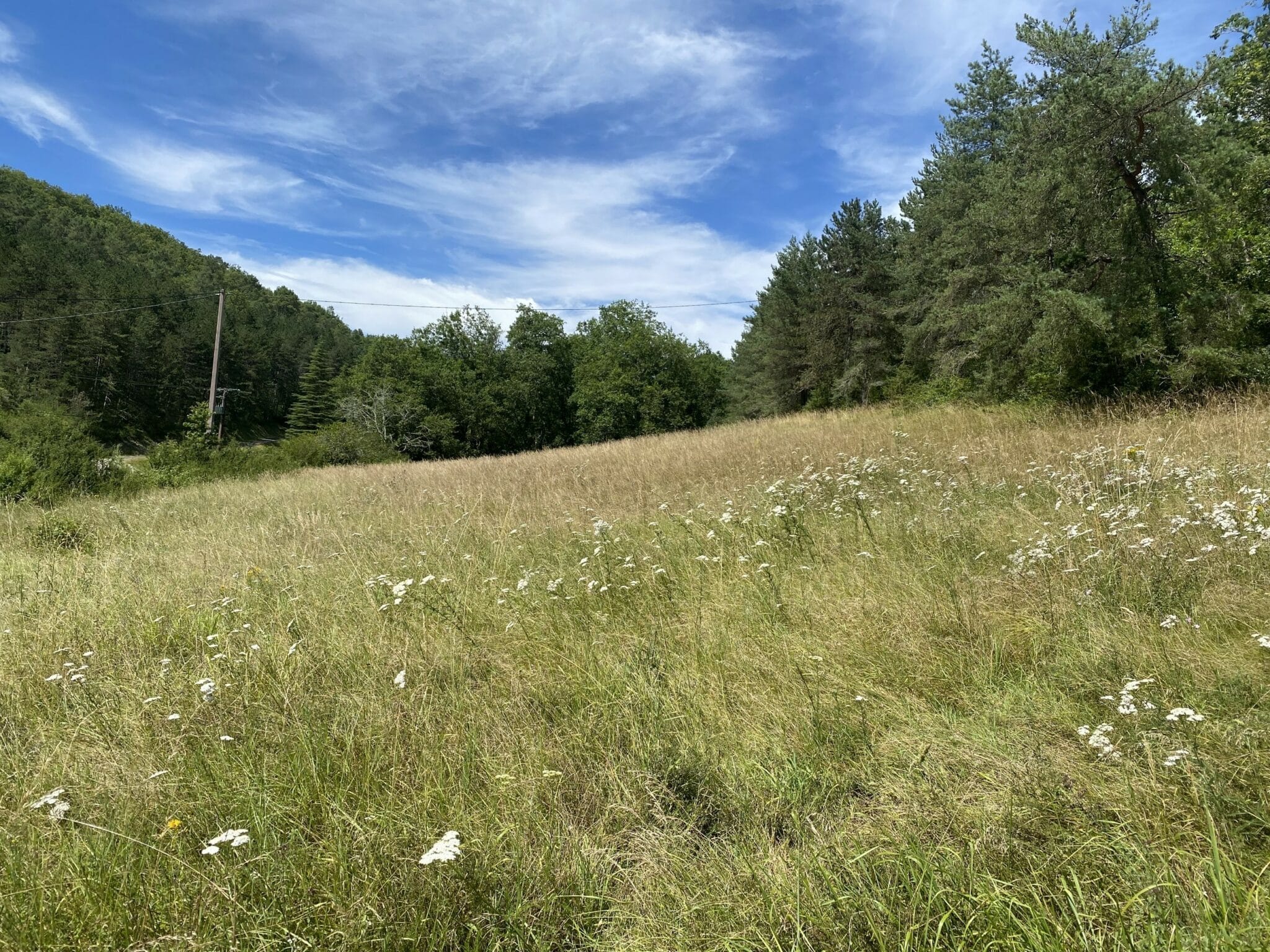 Maison + Terrain de 1 900 m2  à Castels