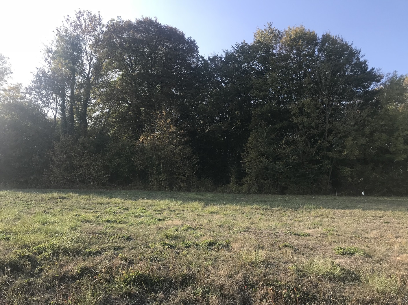 Terrain de 1 684m² à vendre à Neuvy (51)
