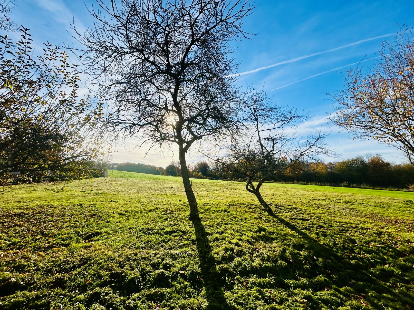 Terrain de 2 087m² à vendre à Neuvy (51)