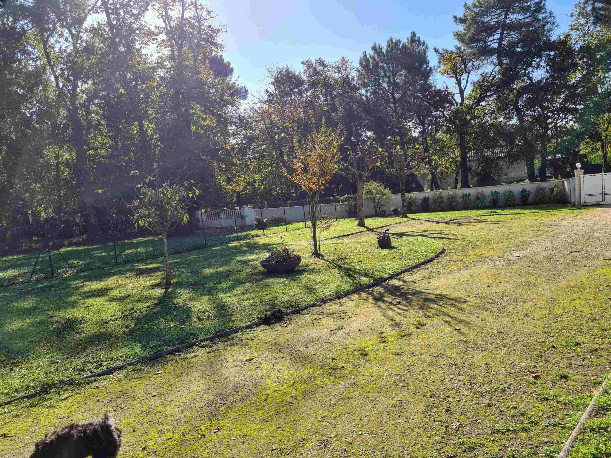 Maison + Terrain de 323 m2  à Mathes
