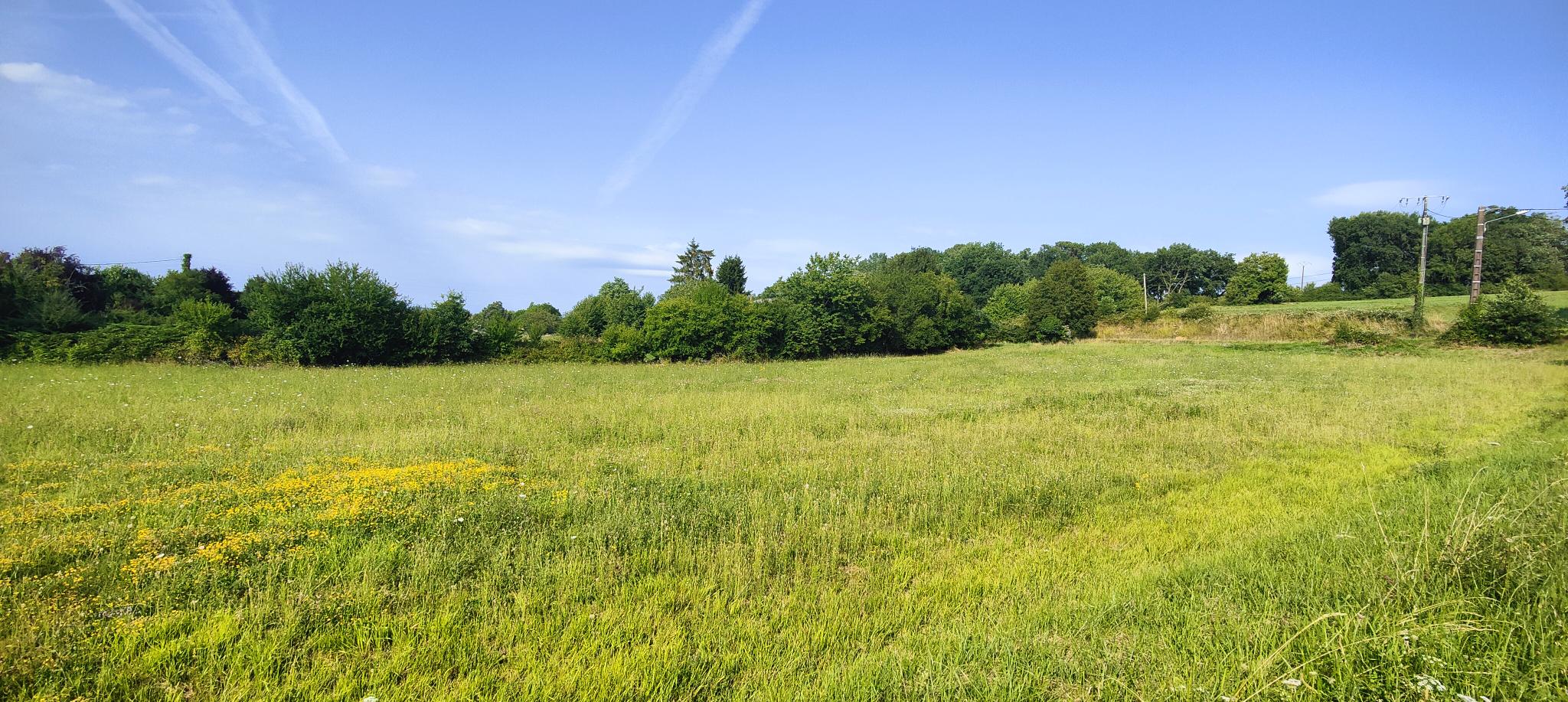 Terrain de 1 500m² à vendre à Saint-Médard-de-Mussidan (24)