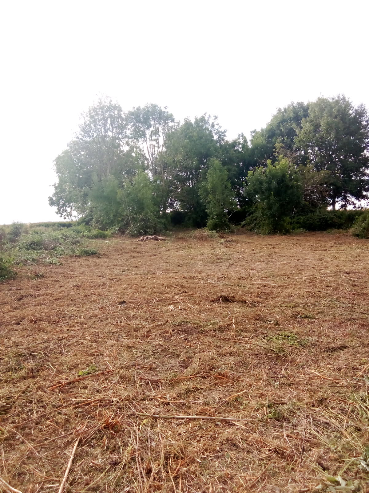Terrain de 1 273m² à vendre à Grisolles (02)