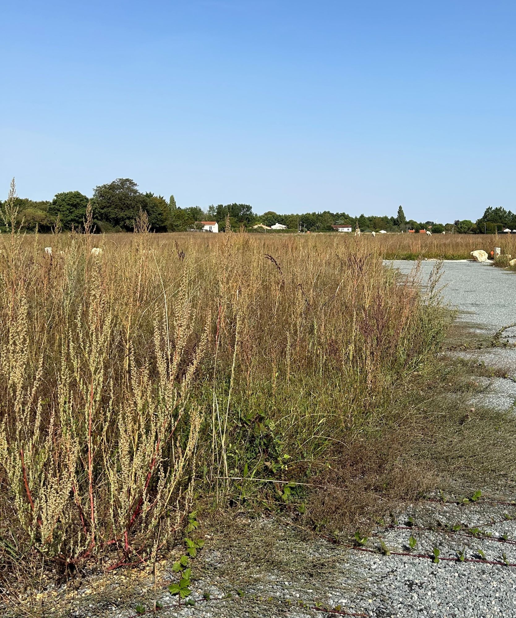 Maison + Terrain de 628 m2  à Port-d’Envaux