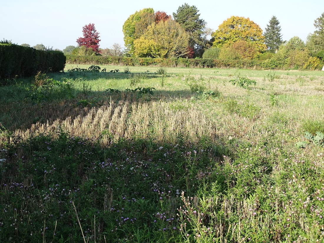 Terrain de 502m² à vendre à Mormant (77)