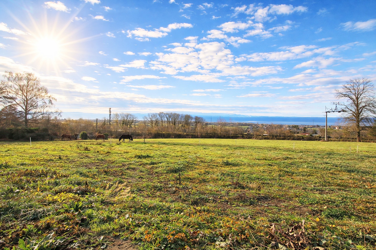 Maison + Terrain de 752 m2  à Saint-Cergues