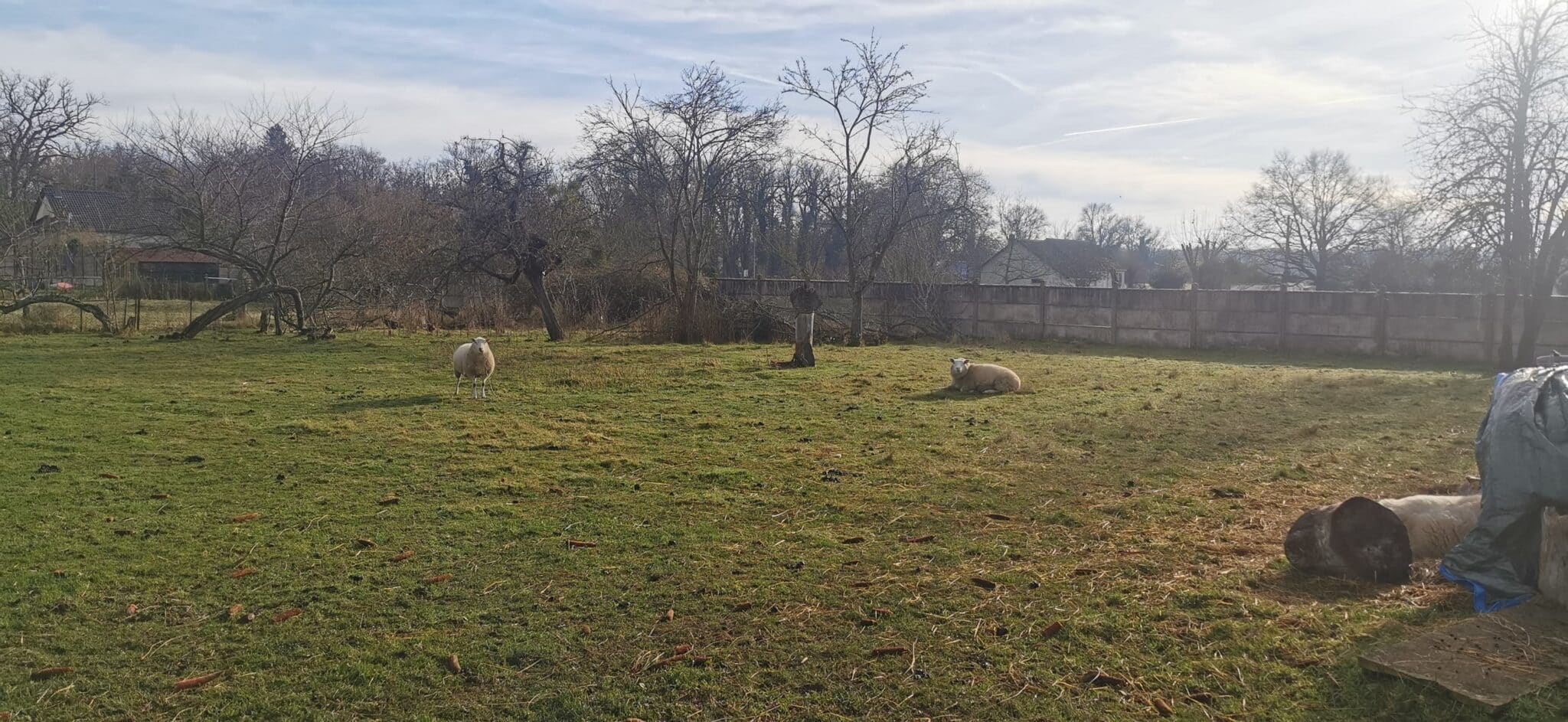 Maison + Terrain de 1 050 m2  à Saint-Loup