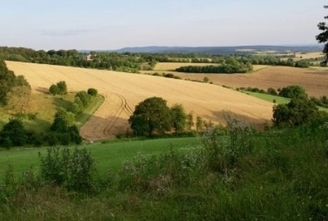 Maison + Terrain de 449 m2  à Mouilleron-le-Captif