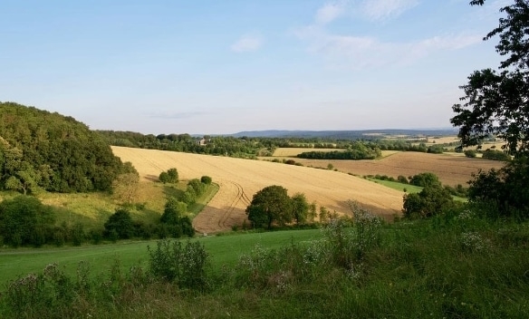 Terrain de 260m² à vendre à Saint-Georges-du-Bois (17)