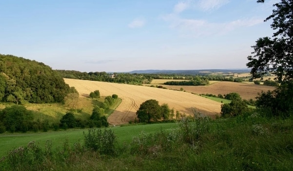 Maison + Terrain de 528 m2  à Mouilleron-le-Captif