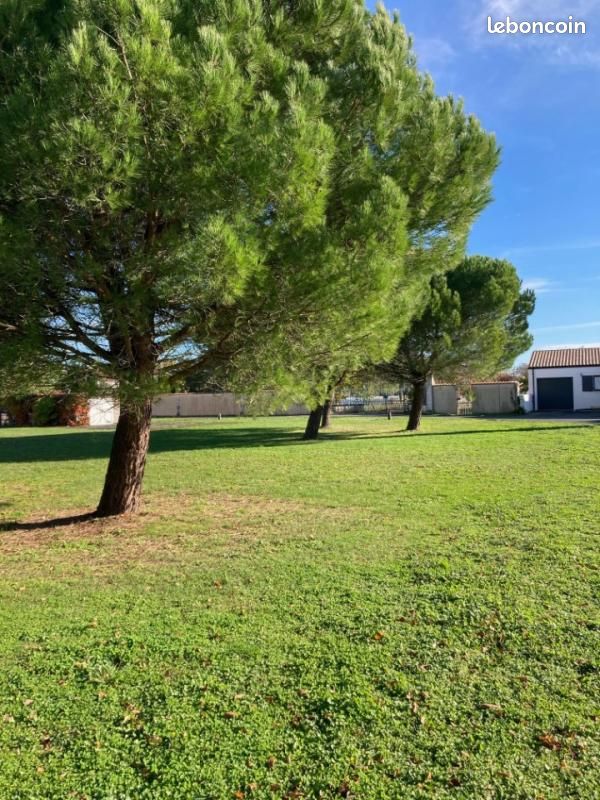 Maison + Terrain de 390 m2  à Saint-Rogatien