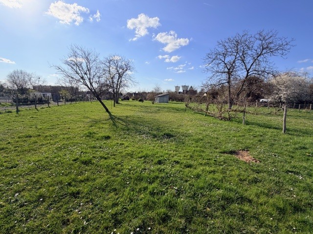 Terrain de 6 000m² à vendre à La Charité-sur-Loire (58)