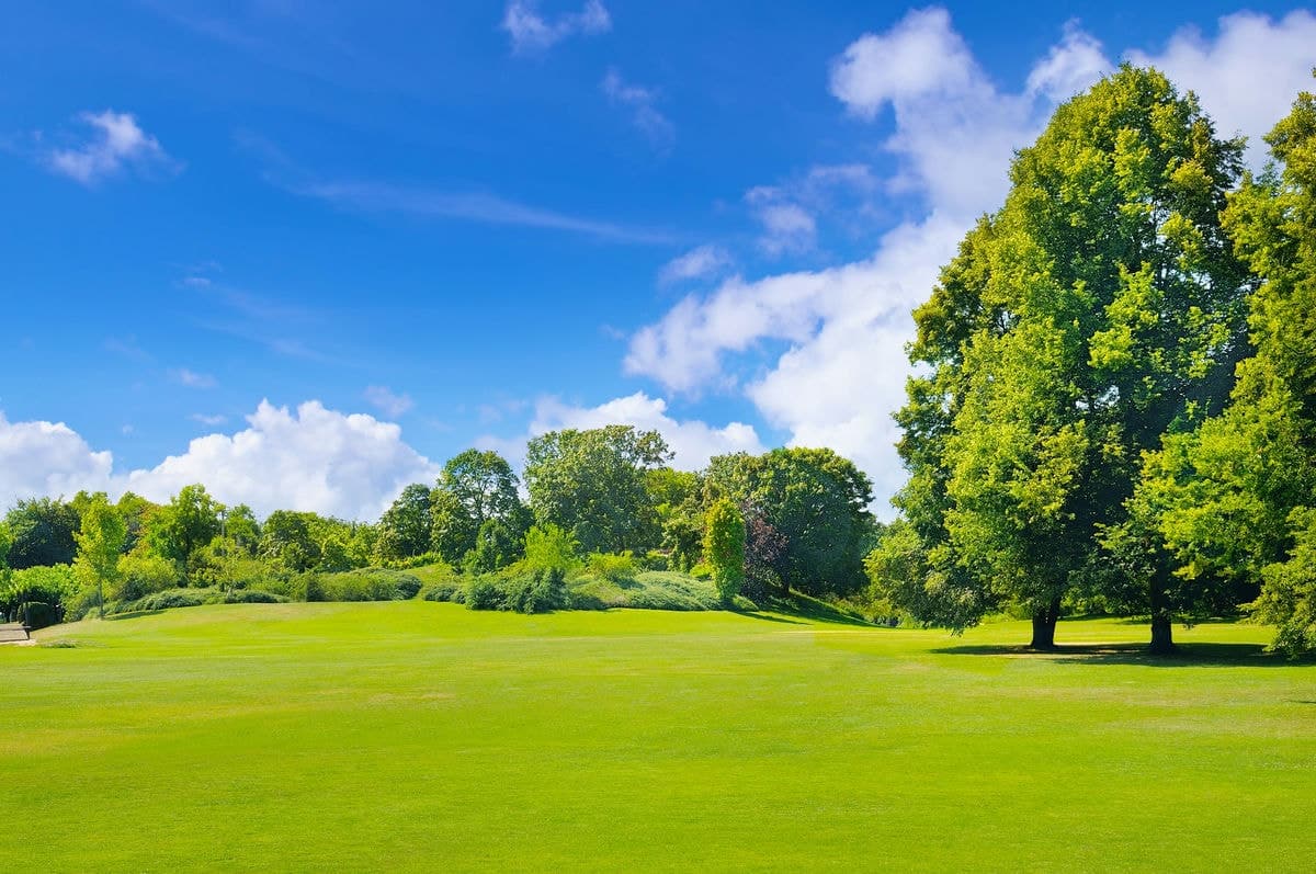 Terrain de 880m² à vendre à Rebais (77)