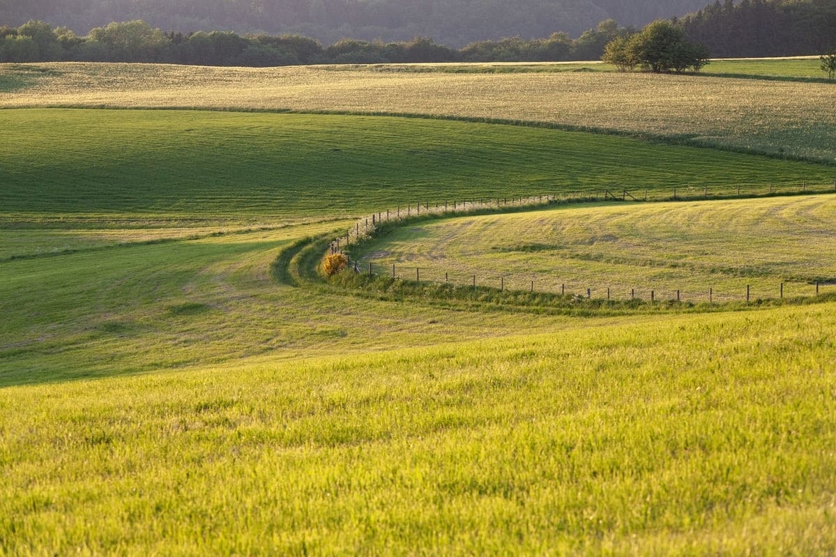 Terrain de 336m² à vendre à Mouilleron-le-Captif (85)