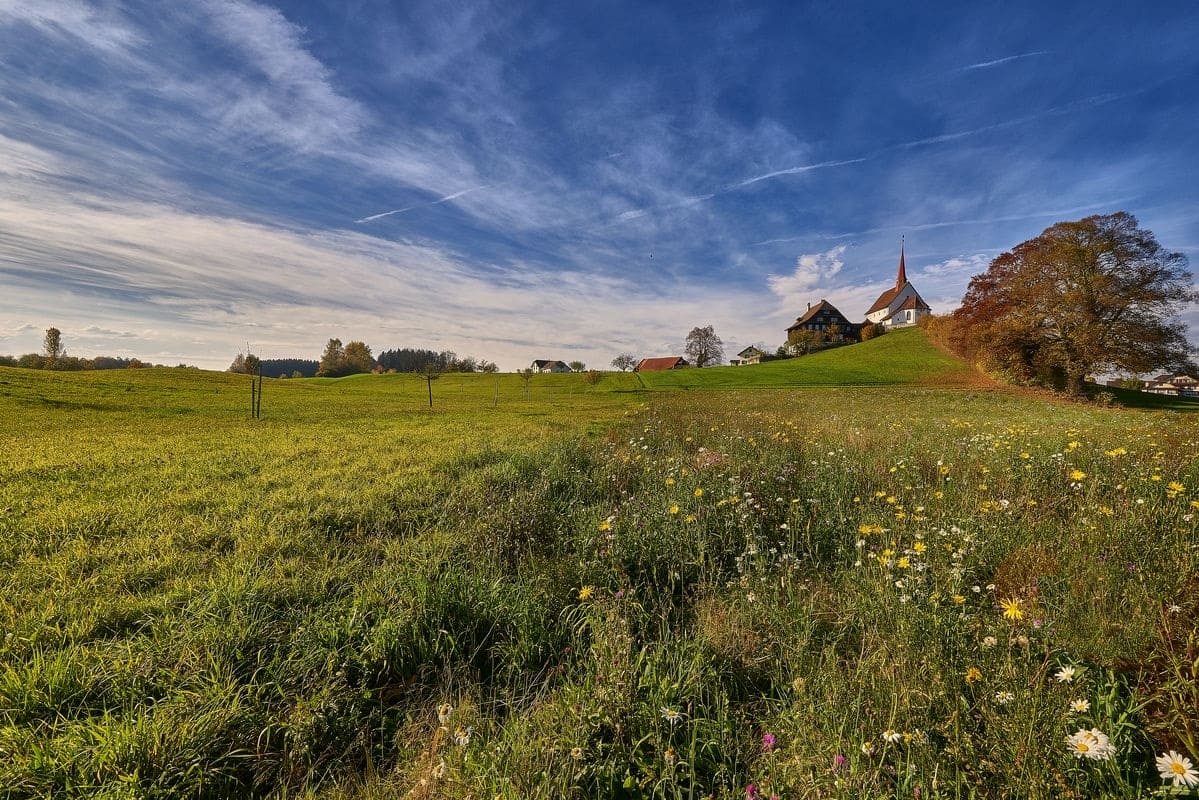 Terrain de 481m² à vendre à Le Poiré-sur-Vie (85)