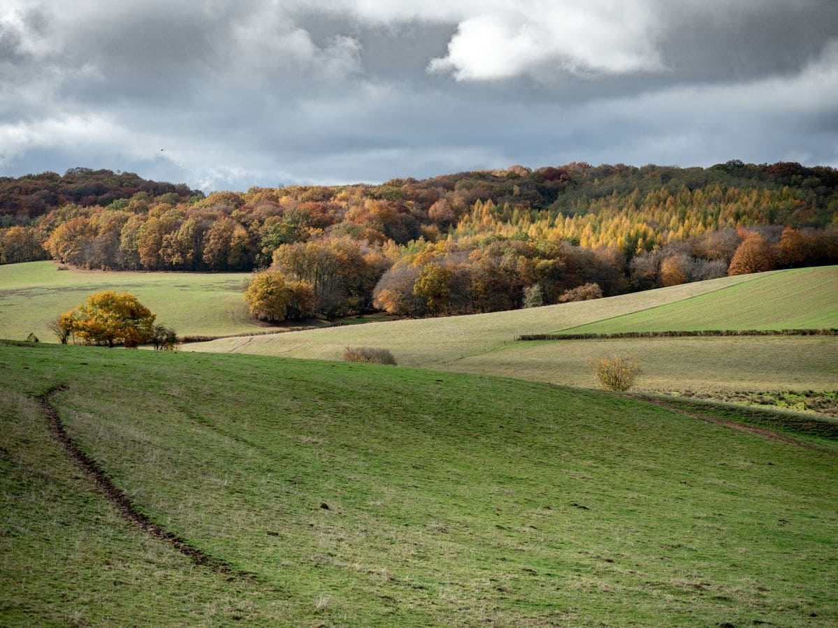 Terrain de 930m² à vendre à Montignac (24)