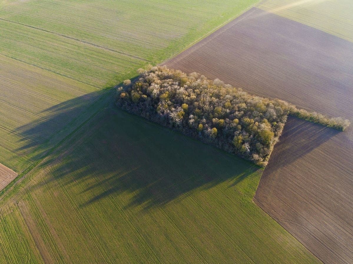 Terrain de 451m² à vendre à Mouilleron-le-Captif (85)