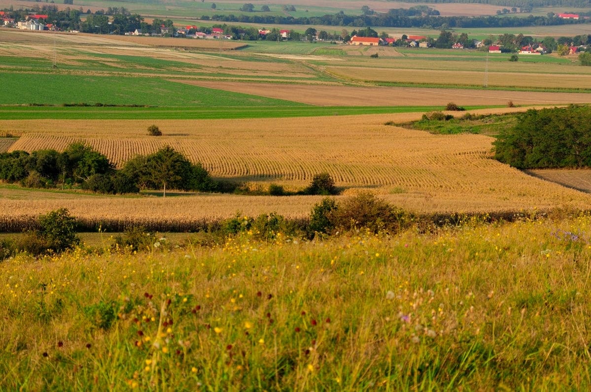 Terrain de 310m² à vendre à La Roche-sur-Yon (85)
