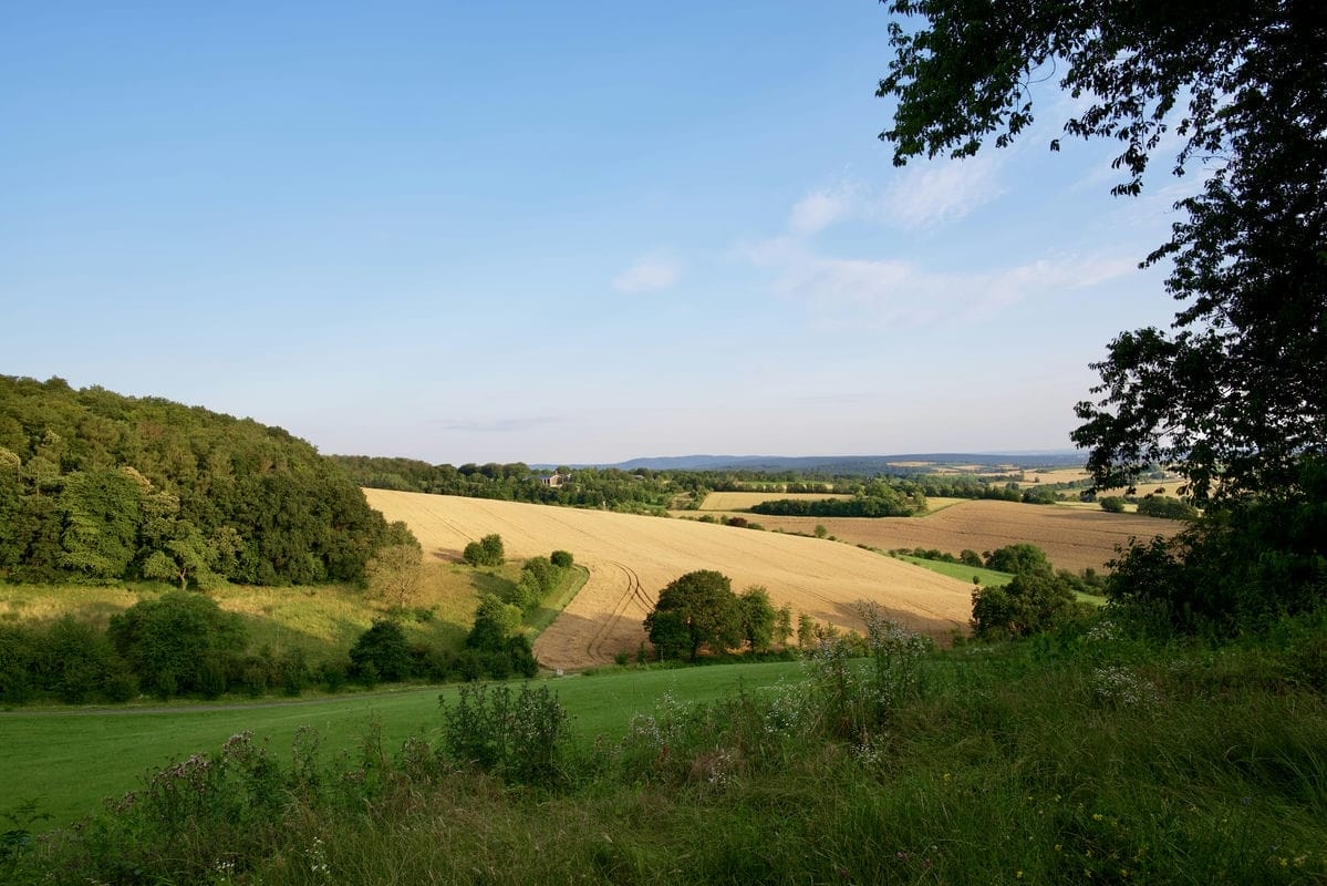 Terrain de 1 816m² à vendre à La Selle-sur-le-Bied (45)