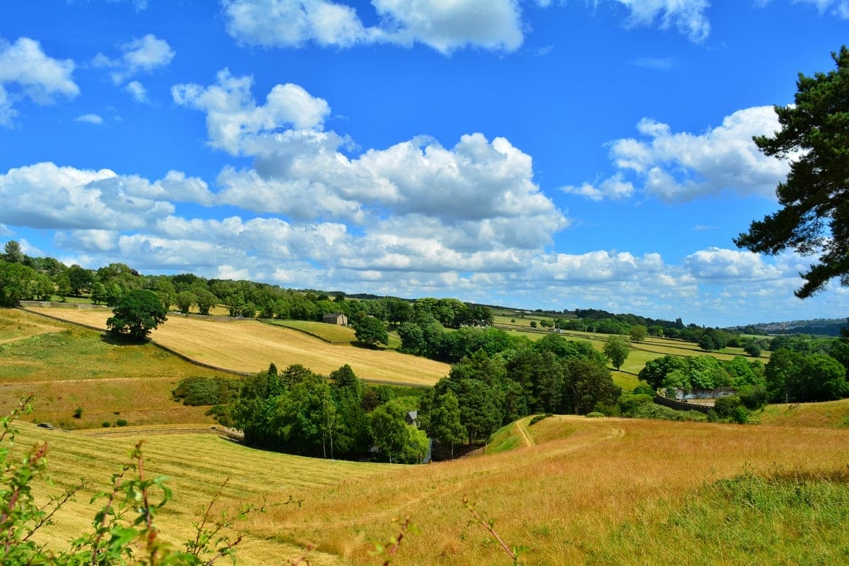 Terrain de 615m² à vendre à Machecoul (44)