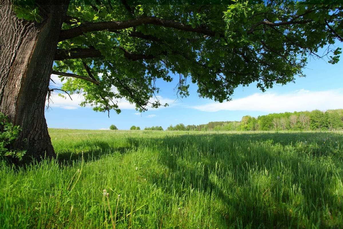 Maison + Terrain de 599 m2  à Talmont-Saint-Hilaire