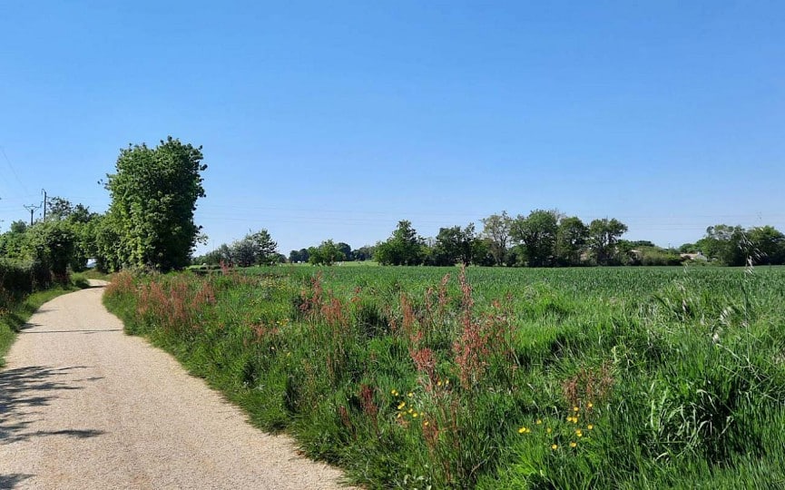 Maison + Terrain de 386 m2  à Saint-Mathurin